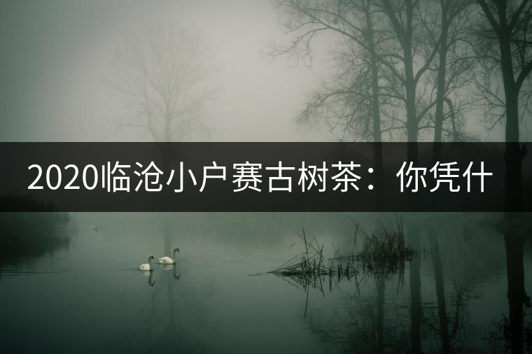2020臨滄小戶賽古樹茶：你憑什么當(dāng)冰島賣？