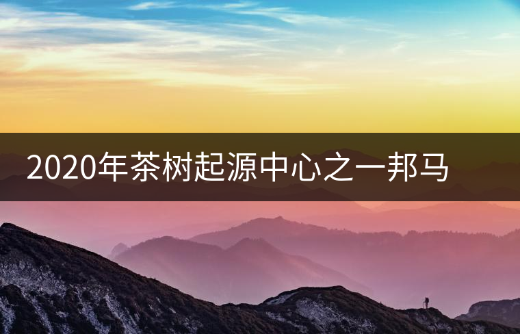 2020年茶樹起源中心之一邦馬大雪山上有哪些神秘的村寨？