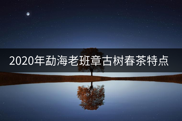 2020年勐海老班章古樹(shù)春茶特點(diǎn)介紹 2020年勐海老班章古樹(shù)春茶特點(diǎn)介紹