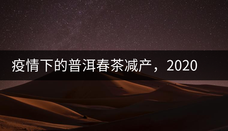 疫情下的普洱春茶減產(chǎn)，2020年價(jià)格“兩極分化”或成常態(tài)？