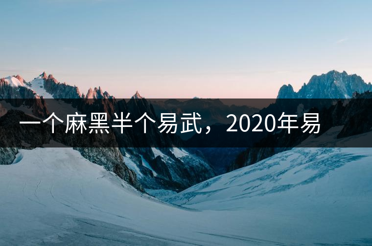 一個(gè)麻黑半個(gè)易武，2020年易武麻黑古樹(shù)春茶介紹
