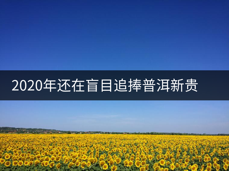 2020年還在盲目追捧普洱新貴“貓耳朵”？我們深入產(chǎn)區(qū)為你揭示最真實的“貓耳朵”！