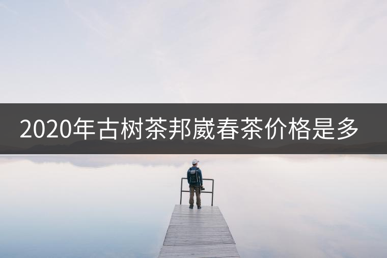 2020年古樹茶邦崴春茶價(jià)格是多少？