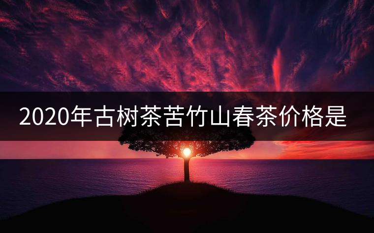 2020年古樹(shù)茶苦竹山春茶價(jià)格是多少？