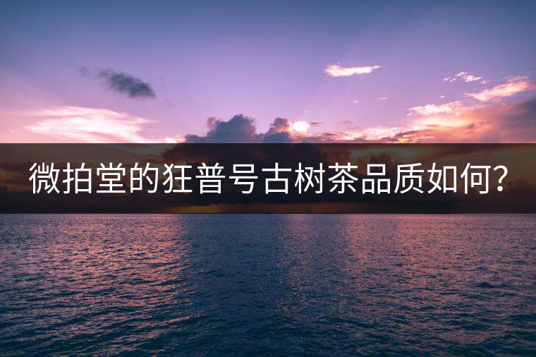 微拍堂的狂普號(hào)古樹(shù)茶品質(zhì)如何? 微拍堂的狂普號(hào)古樹(shù)茶品質(zhì)如何?