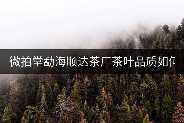 微拍堂勐海順達茶廠茶葉品質(zhì)如何？