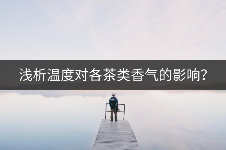 淺析溫度對各茶類香氣的影響？