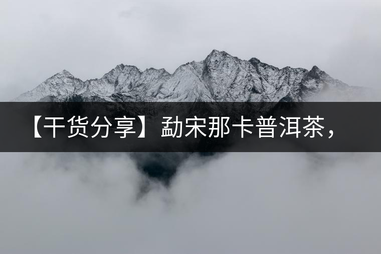【干貨分享】勐宋那卡普洱茶，不僅僅是小班章那么單純！