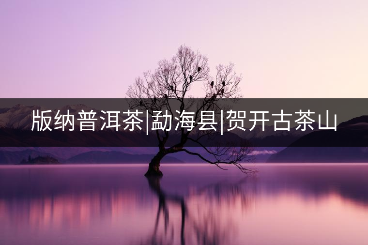 版納普洱茶|勐?？h|賀開古茶山