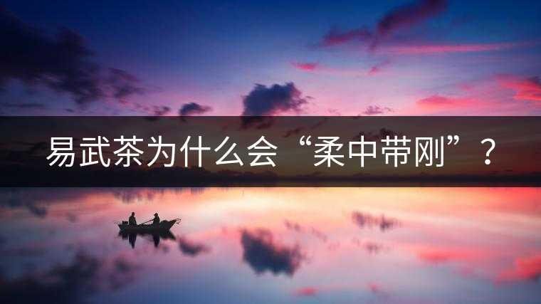 易武茶為什么會(huì)“柔中帶剛”？