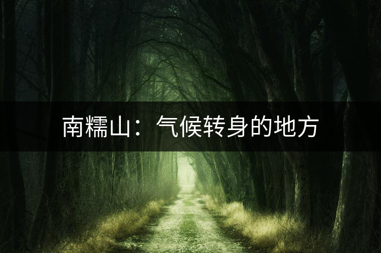 南糯山:氣候轉(zhuǎn)身的地方 南糯山:氣候轉(zhuǎn)身的地方