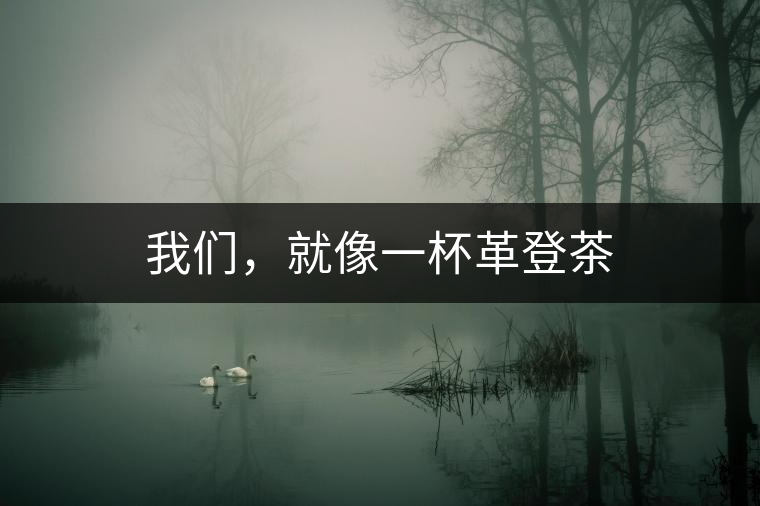 我們，就像一杯革登茶