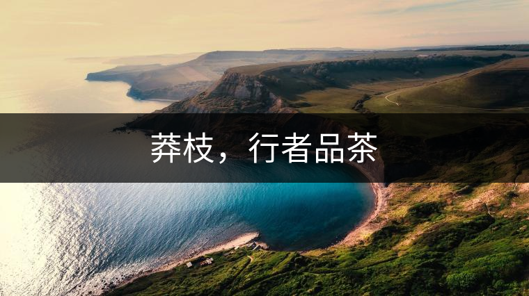 莽枝，行者品茶