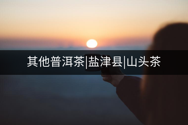 其他普洱茶|鹽津縣|山頭茶 其他普洱茶|鹽津縣|山頭茶