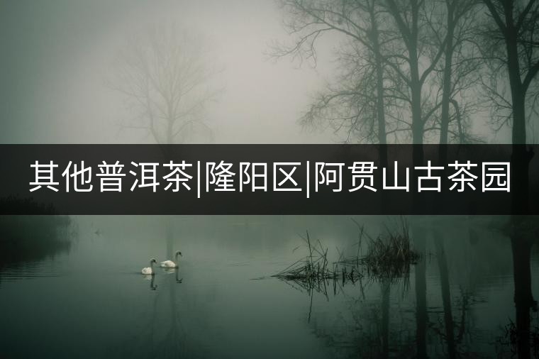 其他普洱茶|隆陽(yáng)區(qū)|阿貫山古茶園