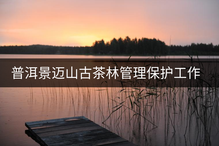 普洱景邁山古茶林管理保護工作出新招 普洱景邁山古茶林管理保護工作出新招
