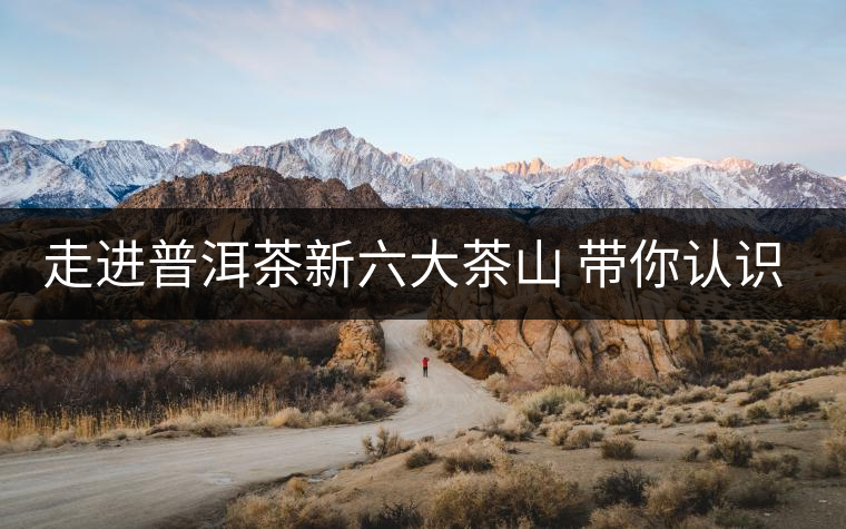 走進普洱茶新六大茶山 帶你認識景邁山