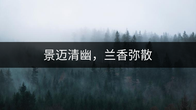 景邁清幽，蘭香彌散