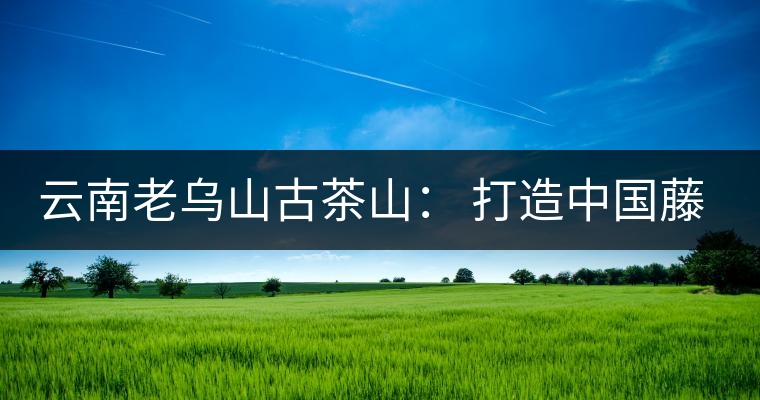 云南老烏山古茶山: 打造中國藤條茶之鄉(xiāng) 云南老烏山古茶山: 打造中國藤條茶之鄉(xiāng)
