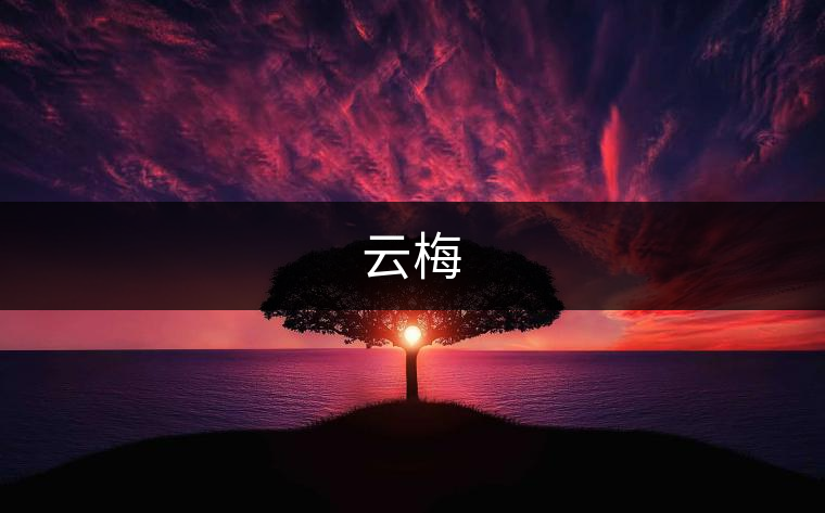 云梅 云梅
