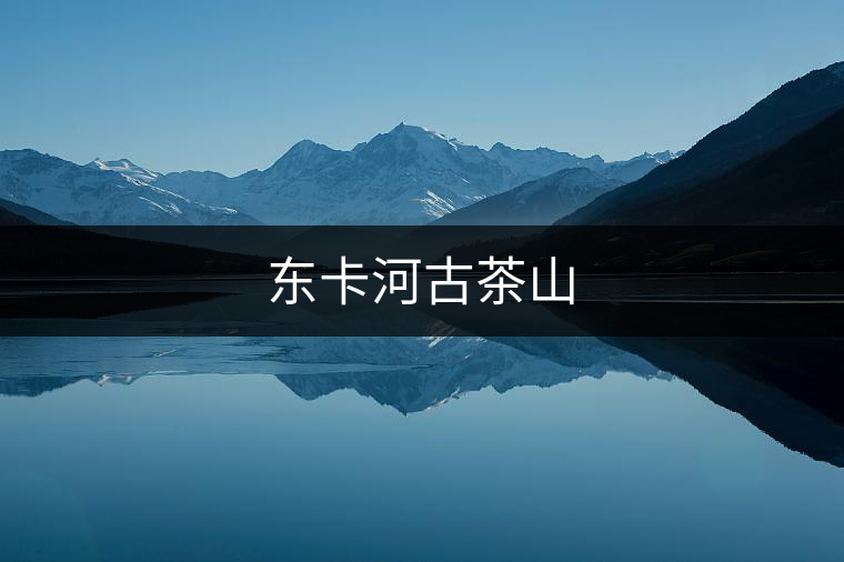 東卡河古茶山 東卡河古茶山