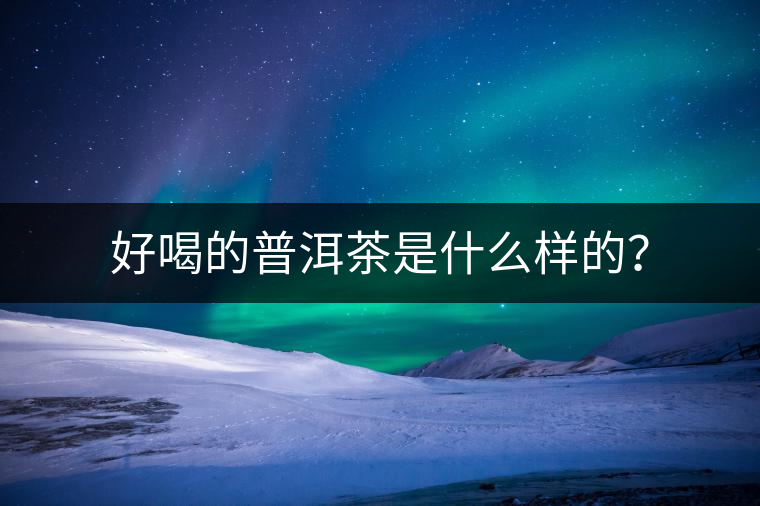 好喝的普洱茶是什么樣的？