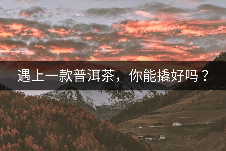 遇上一款普洱茶，你能撬好嗎 ？