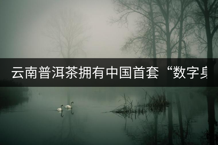 云南普洱茶擁有中國首套“數(shù)字身份證” 云南普洱茶擁有中國首套“數(shù)字身份證”