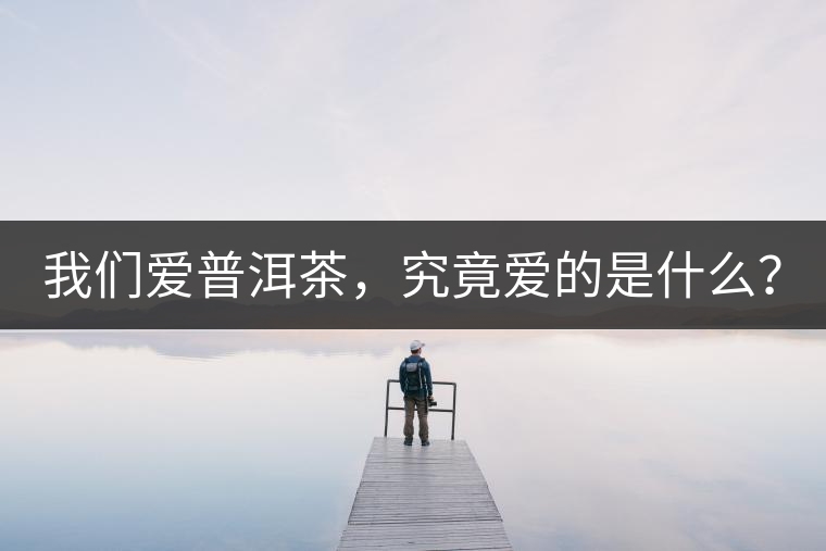 我們愛普洱茶，究竟愛的是什么？