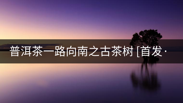 普洱茶一路向南之古茶樹 [首發(fā)·品茗鑒山專欄]