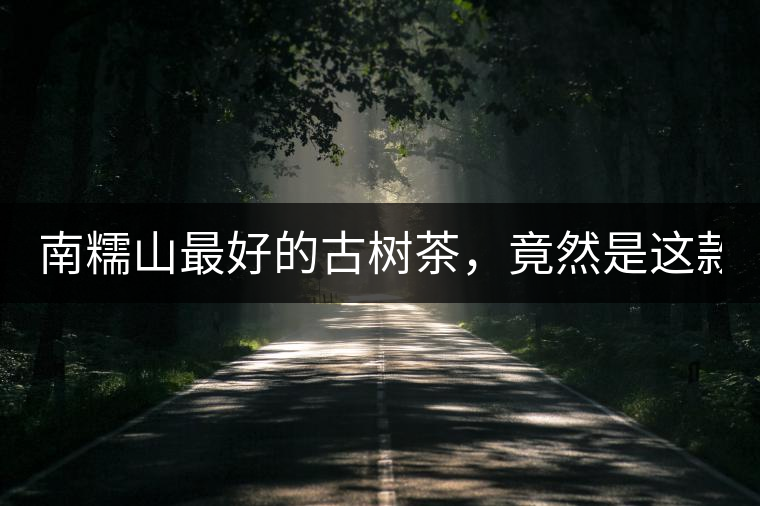 南糯山最好的古樹茶，竟然是這款！