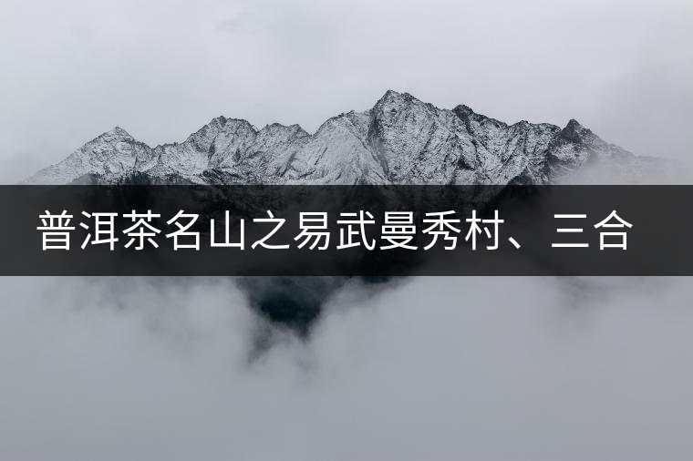 普洱茶名山之易武曼秀村、三合社村