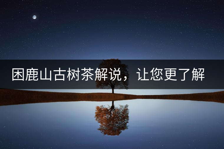 困鹿山古樹茶解說(shuō)，讓您更了解古樹貢茶