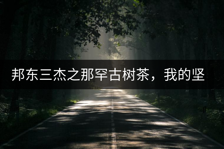 邦東三杰之那罕古樹茶，我的堅(jiān)持