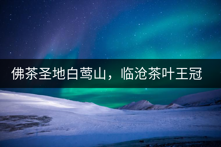 佛茶圣地白鶯山，臨滄茶葉王冠上的明珠