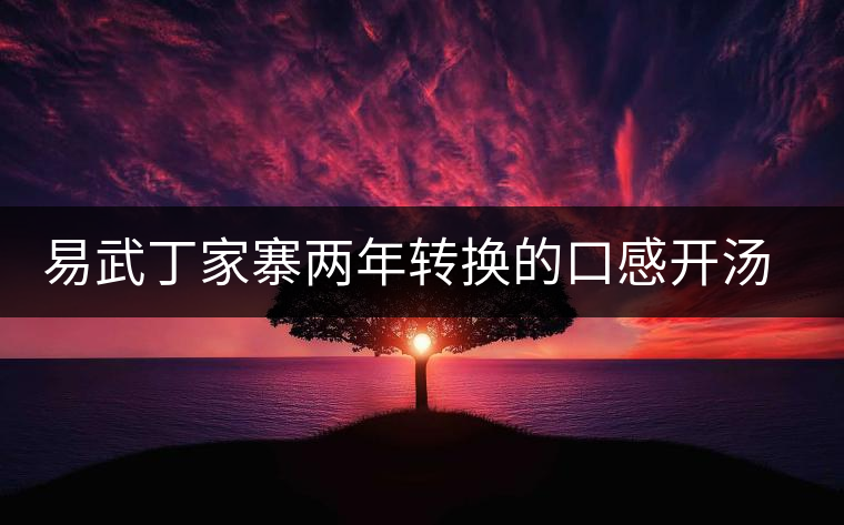 易武丁家寨兩年轉(zhuǎn)換的口感開(kāi)湯品鑒 易武丁家寨兩年轉(zhuǎn)換的口感開(kāi)湯品鑒