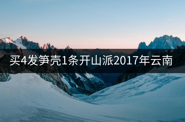 買(mǎi)4發(fā)筍殼1條開(kāi)山派2017年云南勐海熟沱緊壓 普洱茶熟茶沱100g 買(mǎi)4發(fā)筍殼1條開(kāi)山派2017年云南勐海熟沱緊壓 普洱茶熟茶沱100g