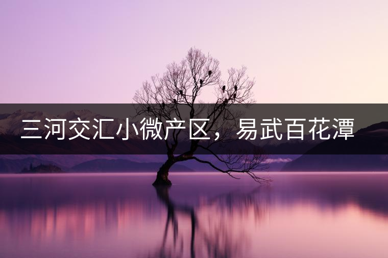 三河交匯小微產(chǎn)區(qū)，易武百花潭古茶園介紹