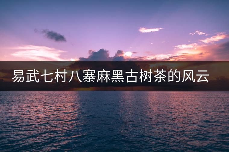 易武七村八寨麻黑古樹(shù)茶的風(fēng)云浮沉