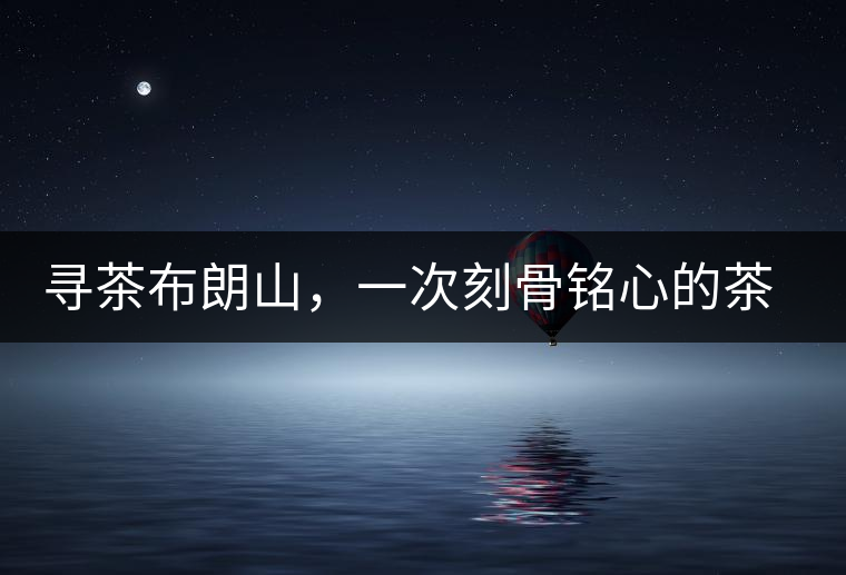 尋茶布朗山，一次刻骨銘心的茶山行