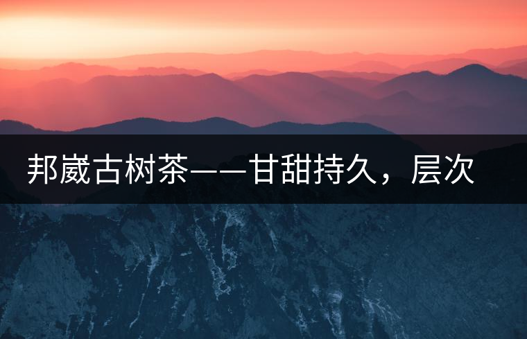 邦崴古樹(shù)茶——甘甜持久，層次鮮明