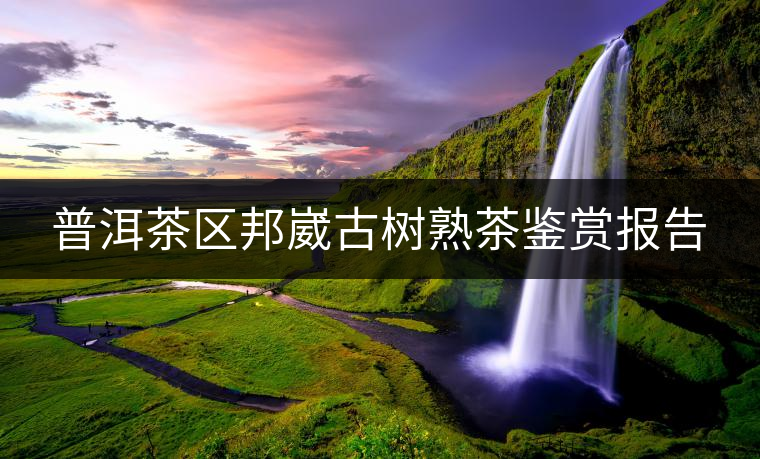 普洱茶區(qū)邦崴古樹熟茶鑒賞報告 普洱茶區(qū)邦崴古樹熟茶鑒賞報告