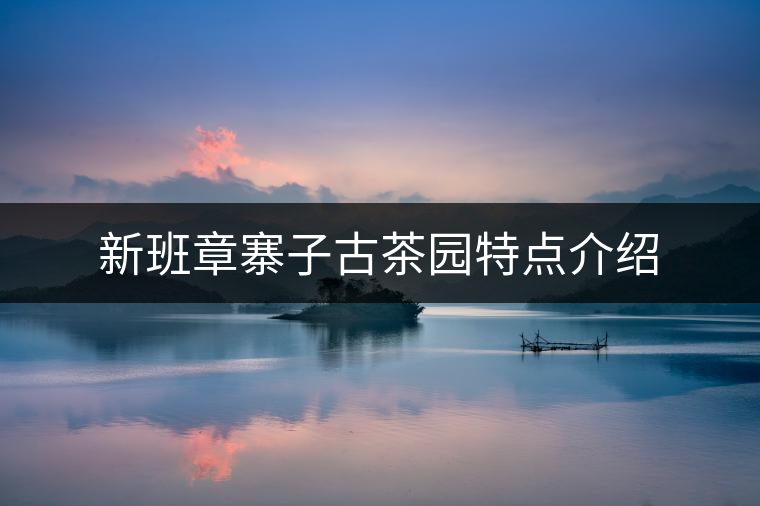 新班章寨子古茶園特點介紹