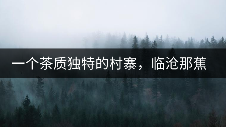 一個(gè)茶質(zhì)獨(dú)特的村寨，臨滄那蕉古樹茶介紹