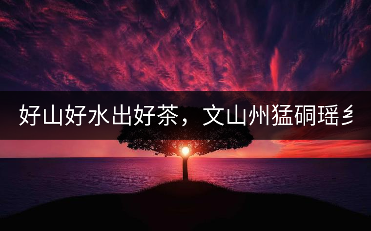 好山好水出好茶，文山州猛硐瑤鄉(xiāng)茶！