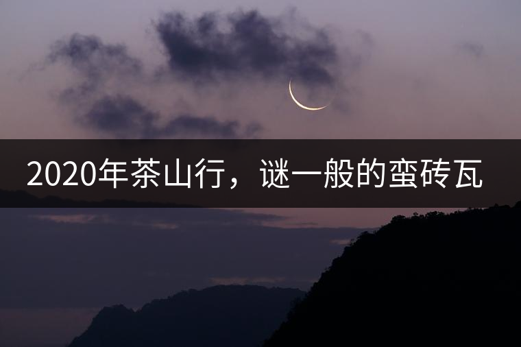 2020年茶山行，謎一般的蠻磚瓦竜古茶山