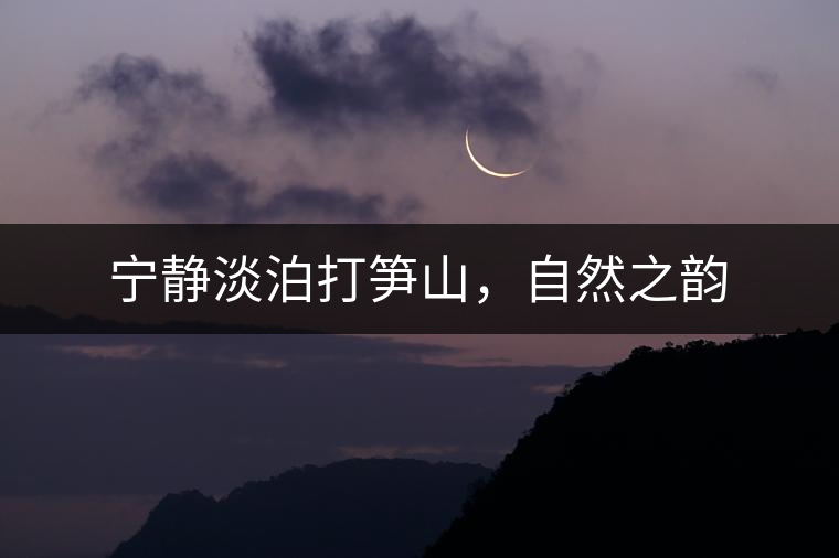 寧靜淡泊打筍山，自然之韻