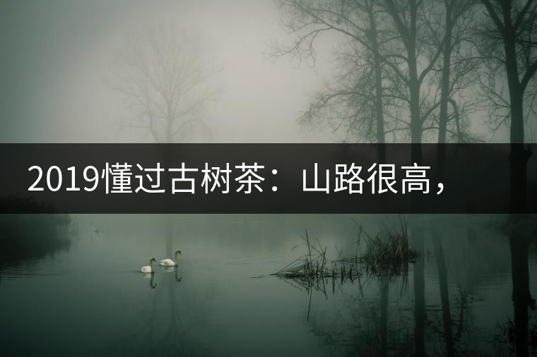 2019懂過(guò)古樹(shù)茶：山路很高，可仍然有執(zhí)著走向深山的人