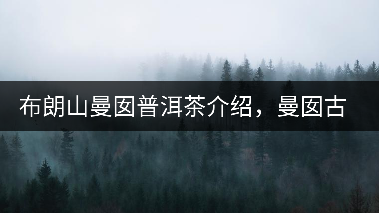 布朗山曼囡普洱茶介紹，曼囡古樹茶口感特點(diǎn)