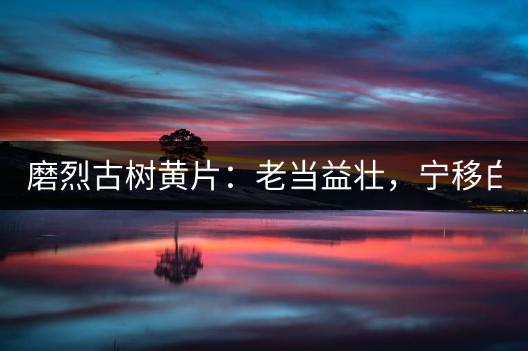 磨烈古樹(shù)黃片：老當(dāng)益壯，寧移白首之心！